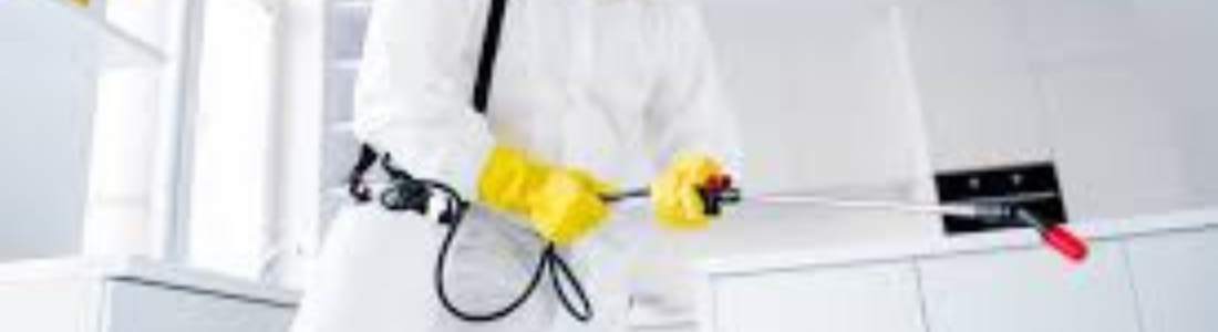 Dedetização em Residências de São Bernardo  24 HORAS